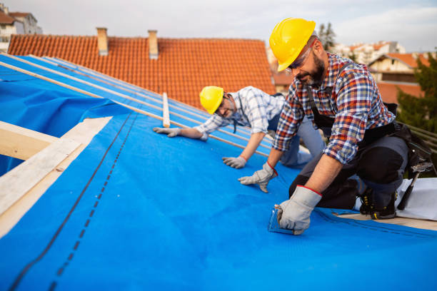 Emergency Roof Repair in Palm Coast, FL